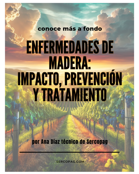 anaguacha's tweet photo. 🚨🌿 ¿Problemas con Enfermedades de Madera en tus Viñedos? 🍇
¡Tenemos la solución! 🌟 Descubre en nuestro último artículo las mejores estrategias para combatirlas. 🛡️🦠
👉 Haz clic en el enlace https://t.co/RGjtHlepWD 
#EnfermedadesDeMadera https://t.co/brAJQeZEpw