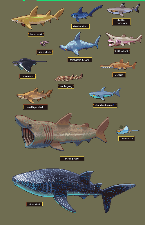 Neoriceisgood's tweet photo. I am awake and ready to draw more #fish !!!
Decided to separate sharks because my ocean sheet was getting way too big.

Did I do your fav yet? https://t.co/Ci6IBzqPhc