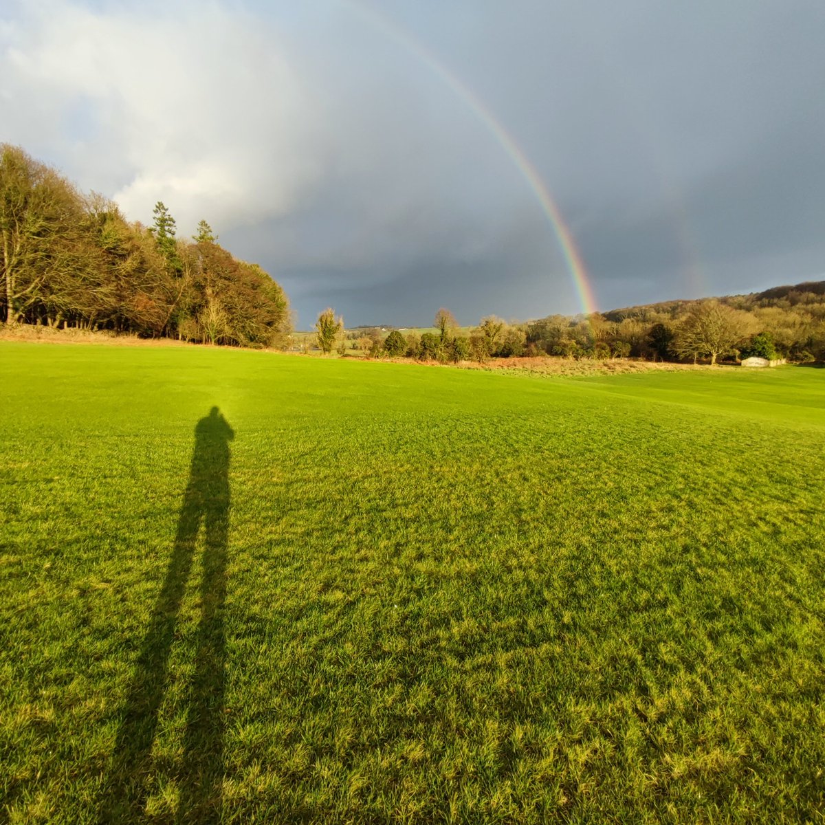 BITCOINZ tweet media