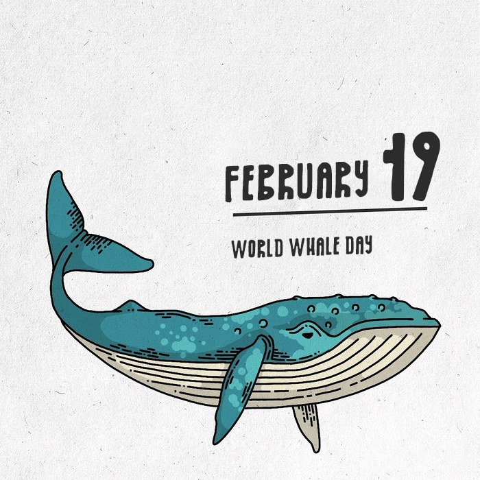 Calendar For Every Day tweet media