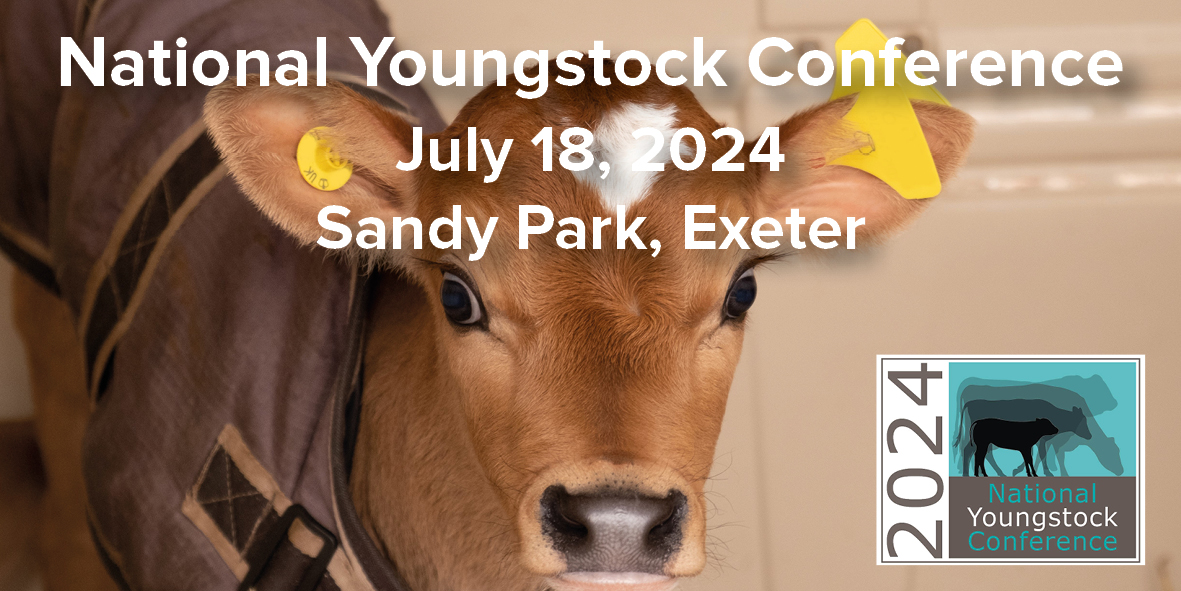 Rachael Porter tweet media