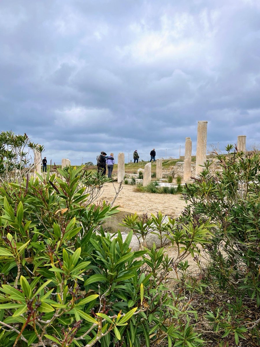 We're very excited to see Dr Levitan's photo-reports as the team start their survey and documentation of two quarry sites at the Cycladic island of Naxos. We will be tweeting them so do follow!