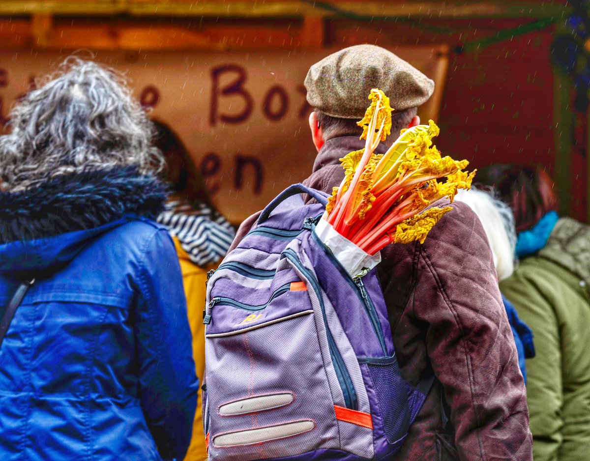 scott merrylees tweet media