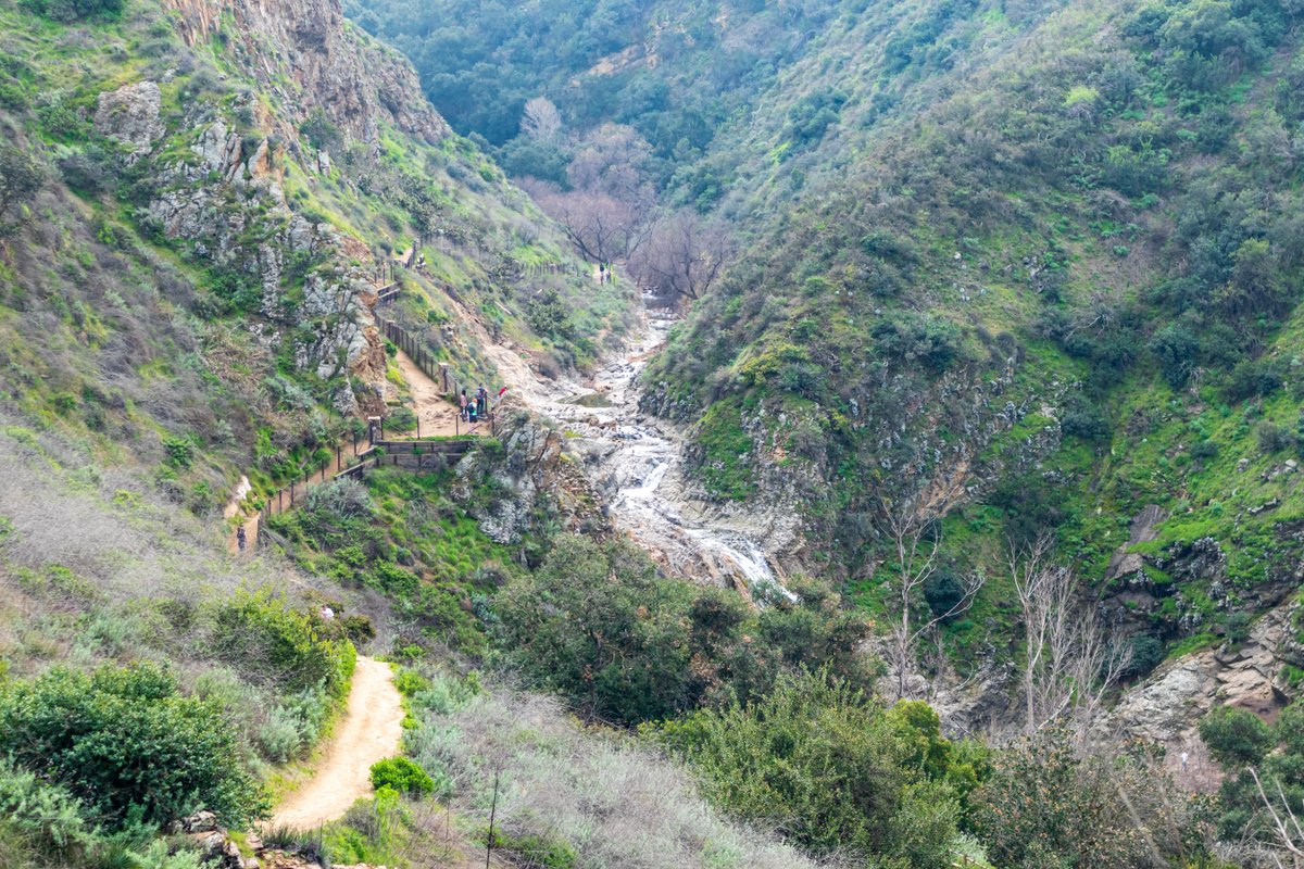 JeffreyFarrar's tweet photo. There's plenty of water at Paradise Falls. #venturacounty #hike #wildwood
https://t.co/rIOxLAlmjG https://t.co/ykJmdxIA0F