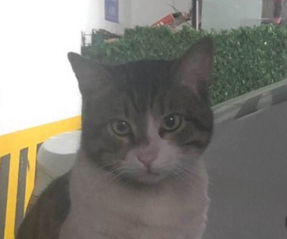 Seni unutmayacağız Eros unutulmana asla izin vermeyeceğiz. Katilin cezasını çekecek. Senin çektiğin acıların bin katını yaşayacak. 

#ibrahimkeloğlantutuklansın