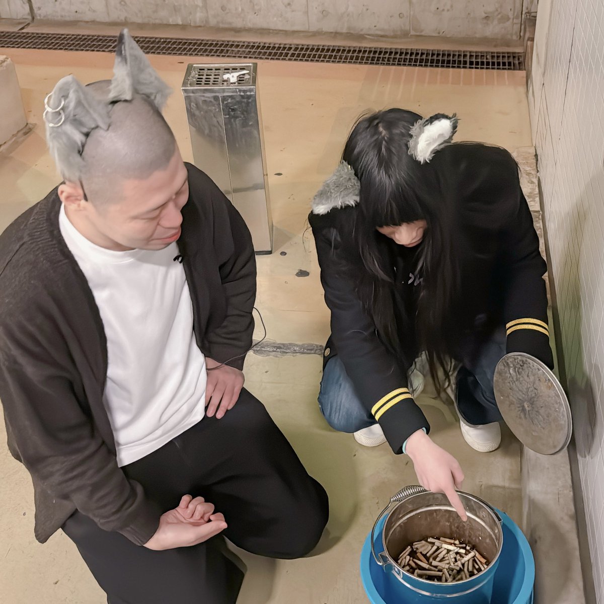 takahashigohan's tweet photo. ヤニねこさんとコラボしました！
＃金属バット無問題

【金属バット】猫になって歴史ある出版社の中を探検【ヤンマガ】 https://t.co/KKEcXA9LTx https://t.co/piwpx8Sylm