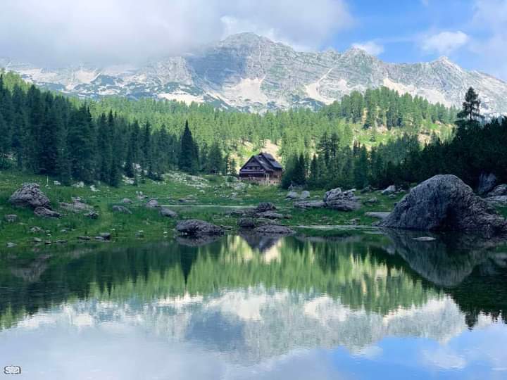 IndiainSlovenia's tweet image. 5➡️ Nacion. park Valley of Flowers #VOF se nahaja visoko v #Himalaji #Uttarakhanda v 🇮🇳, Triglavski narodni park #TNP se nahaja v Julijskih #Alpah v 🇸🇮. Podnebje, flora in favna ter kultura parkov imajo veliko podobnosti, ki ponujajo podobne izzive, da se učijo drug od drugega.