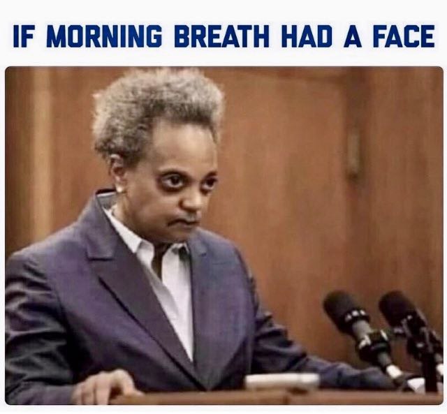 WHO DO YOU THINK IS WORSE BEETLE JUICE LORI LIGHTFOOT OR BRANDON JOHNSON?? AND YOU COULD EASILY PUT BRANDON'S FACE ON INSTEAD WITH THE SAME RESULT!!