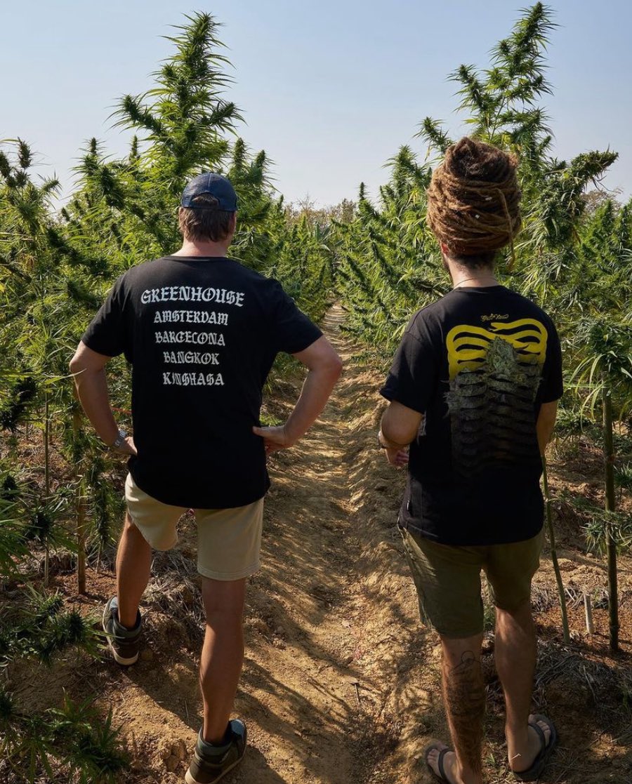 It is going to be one of the most interesting documentaries we have ever made 💚🤯  impressive landscapes and plants, old school sativas with amazing terpenes and effects. Are you ready? #StrainHunters