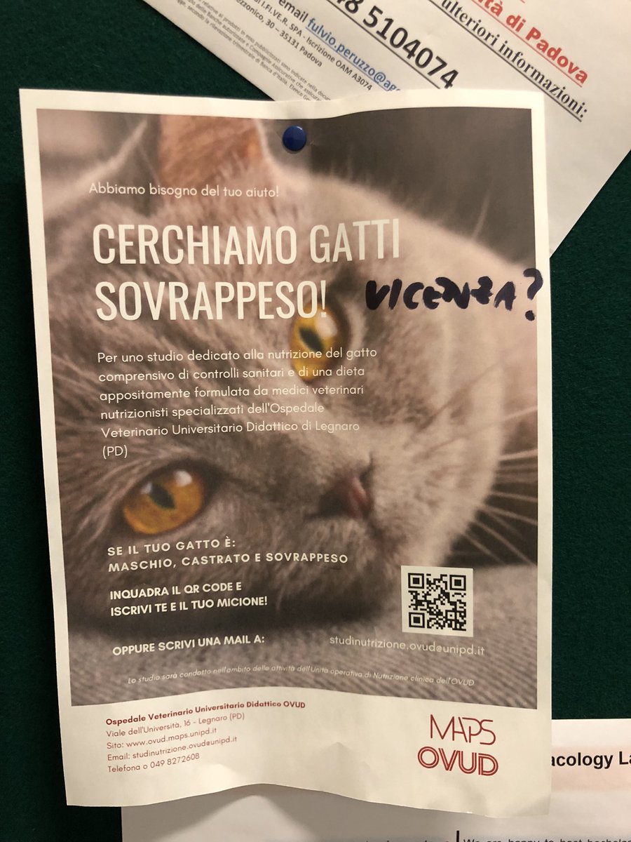 Sempre il loro fascino le bacheche universitarie