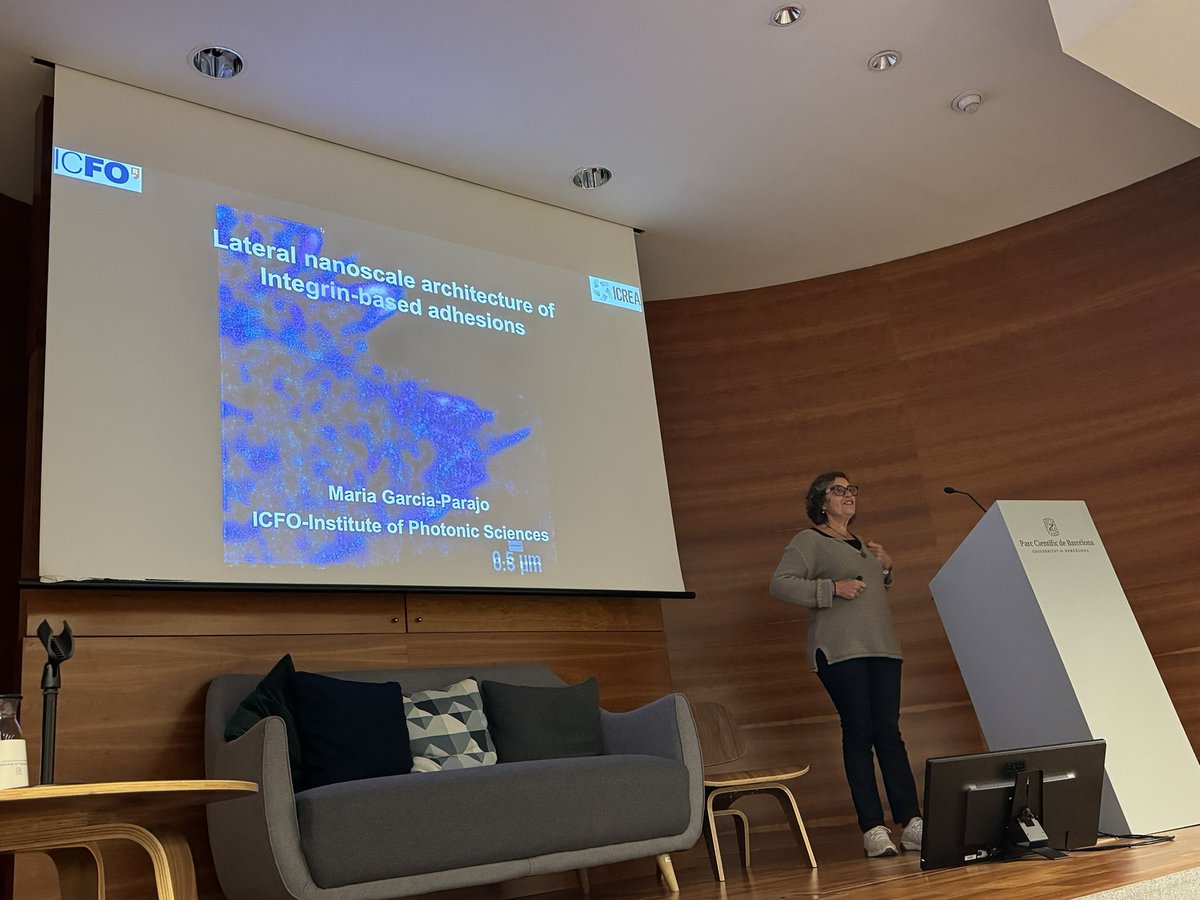 Maria Garcia-Parajo from <a href="/ICFOnians/">ICFO</a> presents their latest advances in nanoscopy in space and time to study focal adhesion dynamics <a href="/CATCATbiology/">CATCAT - Cell and Tissue Research in Catalonia</a>