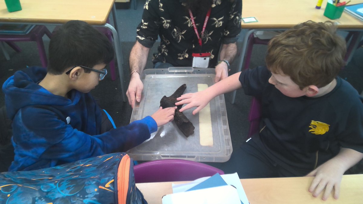 #WHGS_YAC had a special visitor recently! @ArchaeOverton taught us about No Name Hill, a wetland Mesolithic site in Yorkshire, and what was found on the dig. We got to touch 11,000 yr old artefacts...1/2
@YAC_CBA @archaeologyuk @MesoPlants #archaeology