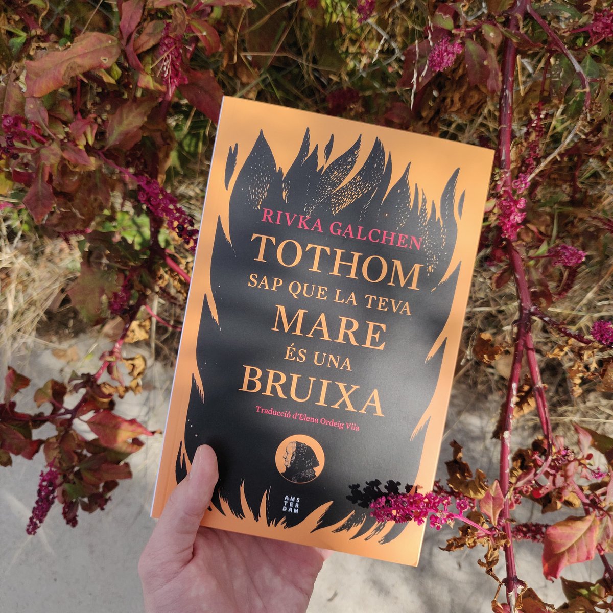🔥 Una novel·la provocadora sobre la caça de bruixes més sonada de tots els temps. Una història que posa el dit a la nafra de la mentida i la distorsió i l’histerisme col·lectiu.

«Tothom sap que la teva mare és una bruixa» de Rivka Galchen, ja a llibreries 📚