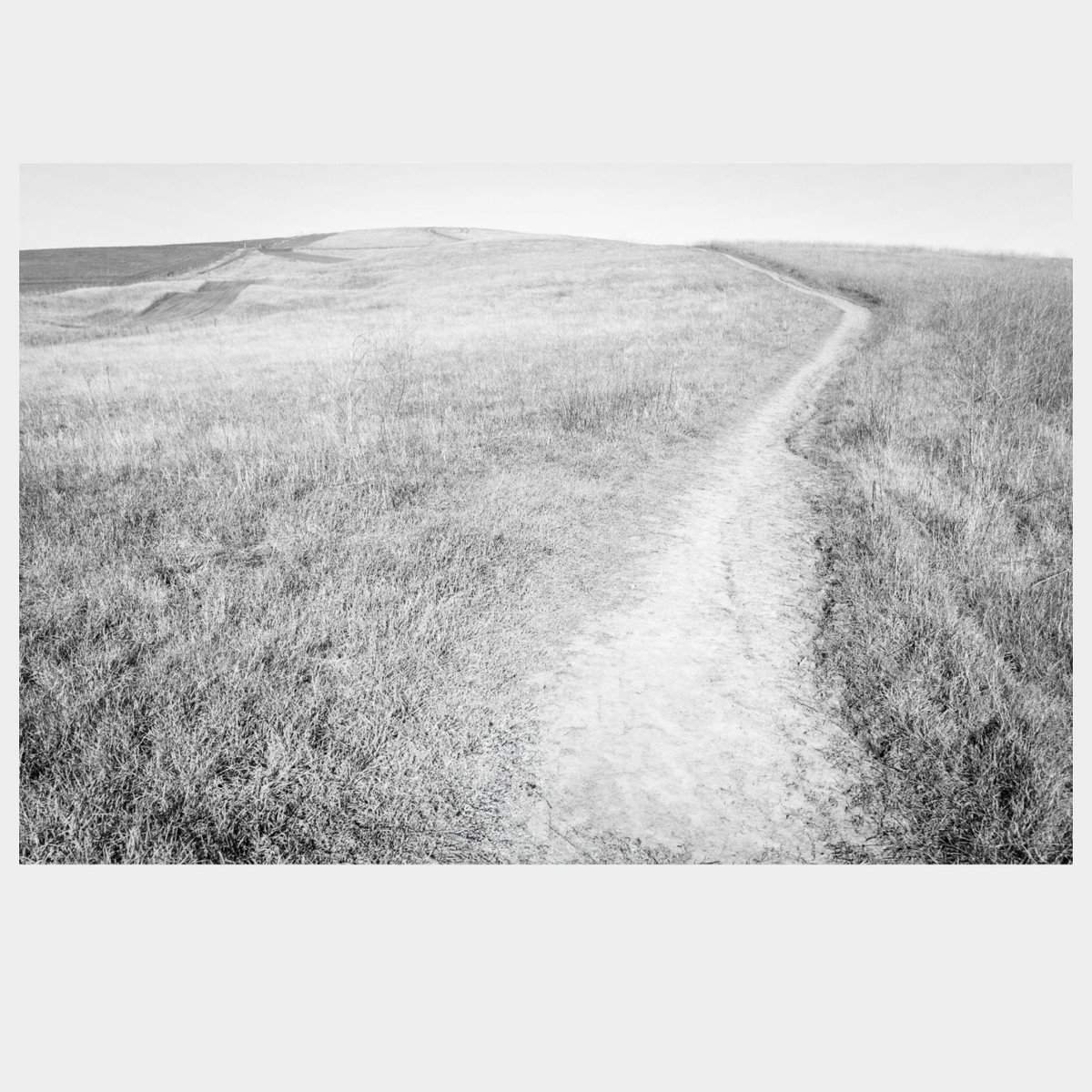 HomeWhenWalking's tweet image. 448E