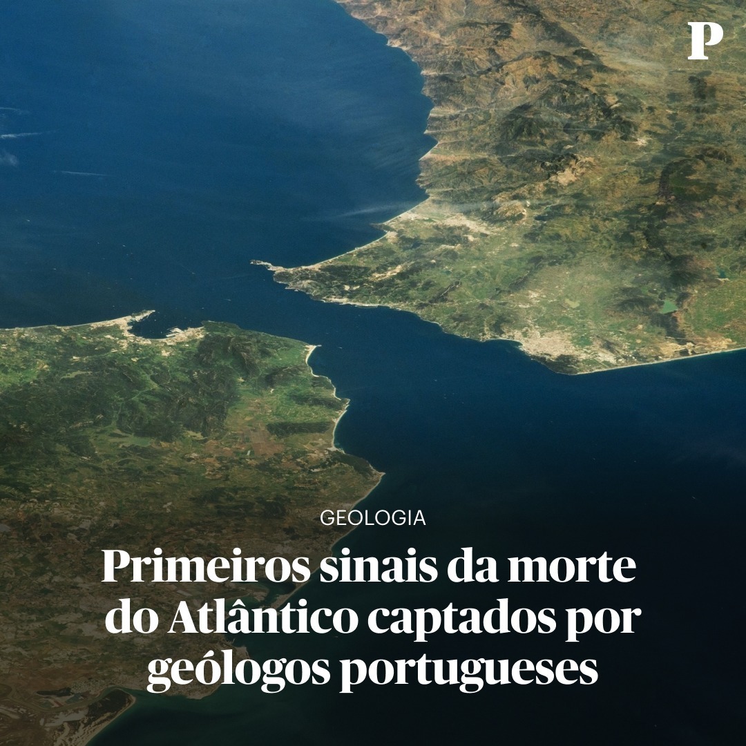 Público tweet media