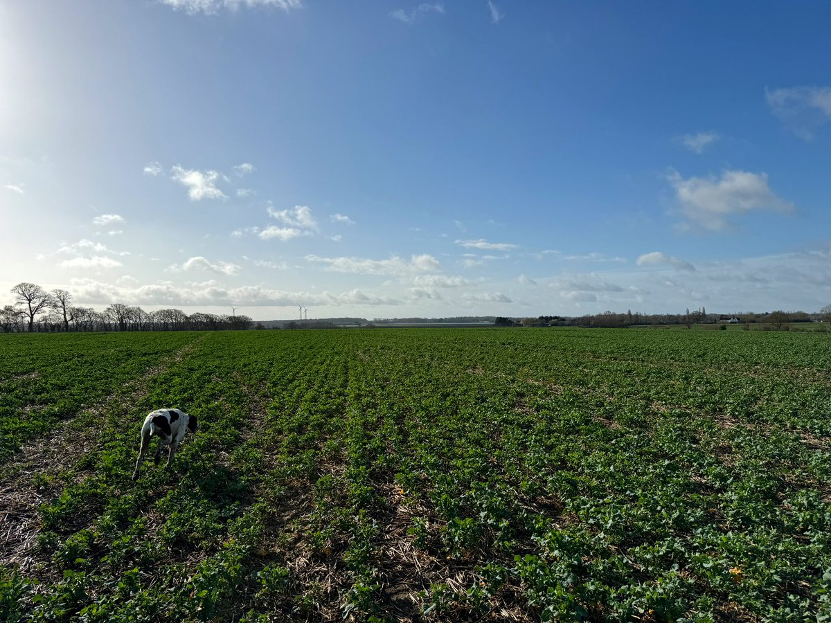 Ed Schofield tweet media