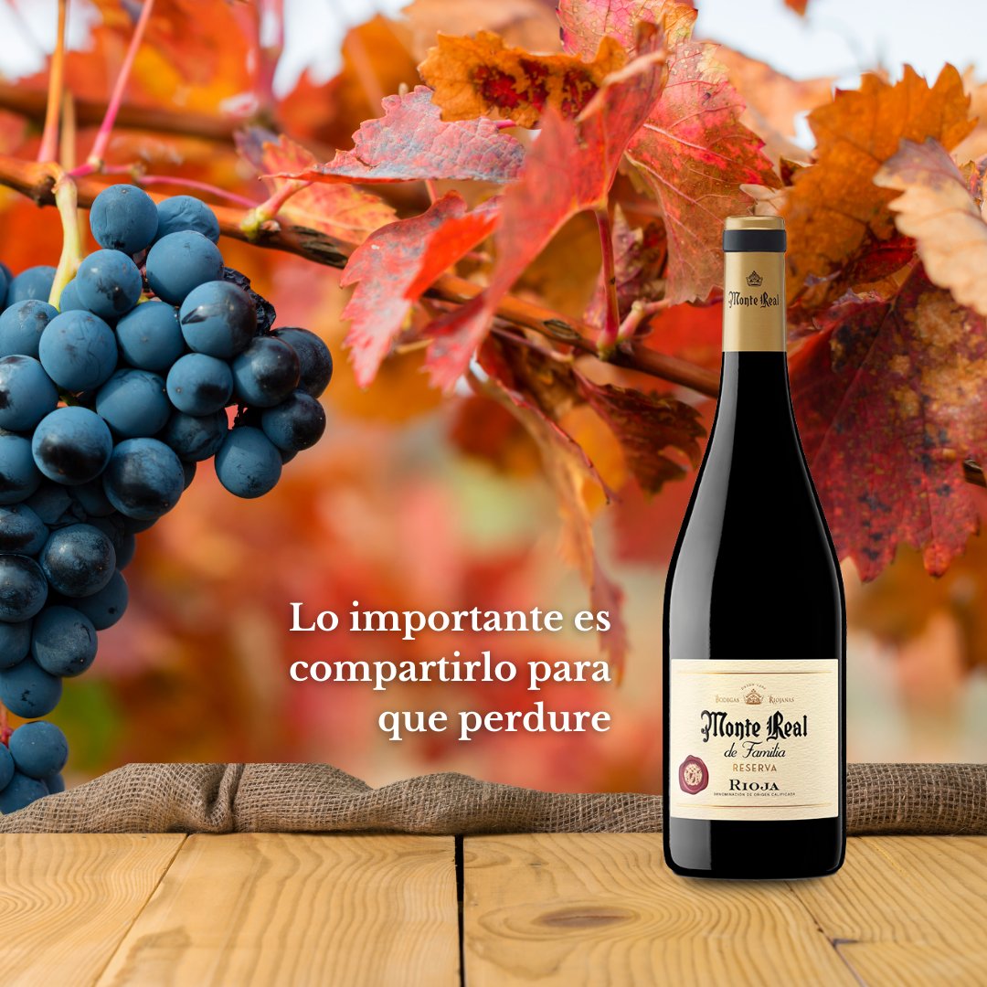 Y si hay algo importante en un #vino, es compartirlo para que perdure🍷

Menciona a esa persona con la que compartirías una botella de nuestro #MonteRealdeFamilia👇🏼

#Bodegasriojanas #LaRioja #familia #compartiresvivir #vinotinto #vinodecalidad
