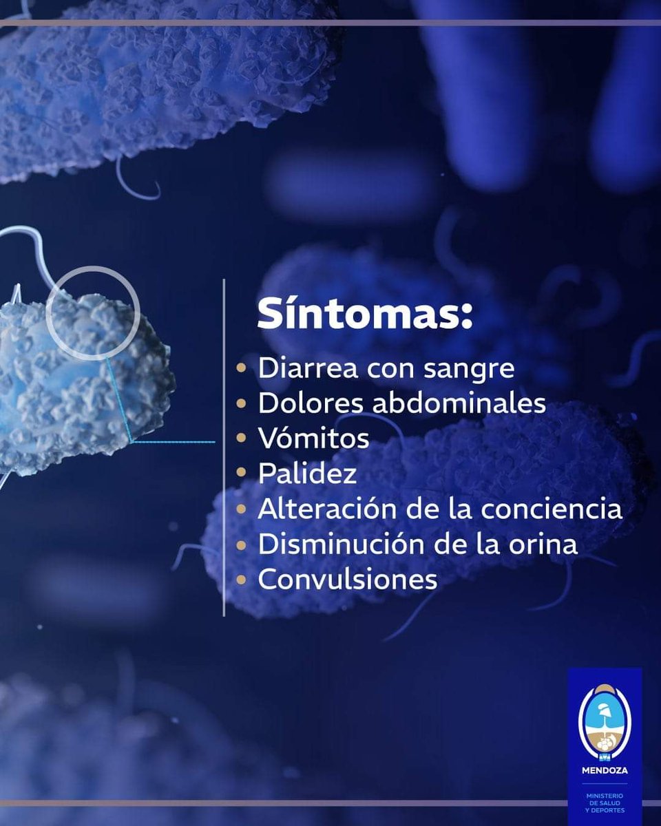 MinSaludMza's tweet photo. 🚨 RECOMENDACIONES PARA PREVENIR SÍNDROME URÉMICO HEMOLÍTICO

Se presenta con mayor frecuencia en niños menores de 5 años y la tasa más alta se observa en el año de edad, sin embargo, niños más grandes y adultos pueden padecerla. Afecta especialmente los riñones y puede ser mortal.

🔗 https://t.co/IN6koOZK4Q