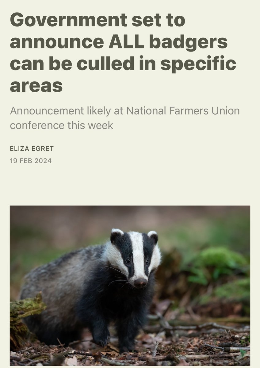 ProtectTheWild_'s tweet photo. This madness must end! https://t.co/SjABQuJfdC