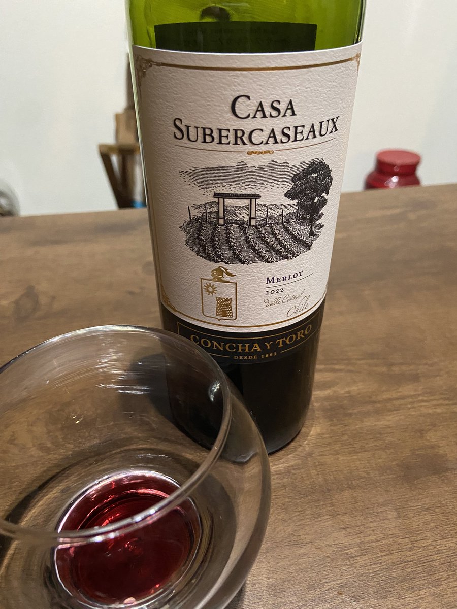 あんまりお酒最近飲まなくなったけど、ローソンで600円くらいで売ってるメルロー種のチリワイン去年からハマってる🍷
アルパカよりコスパ良いのでは😮
冬場は赤ワイン開けて3日目くらいが美味しい気がする🐥1日目は私には渋すぎる😵