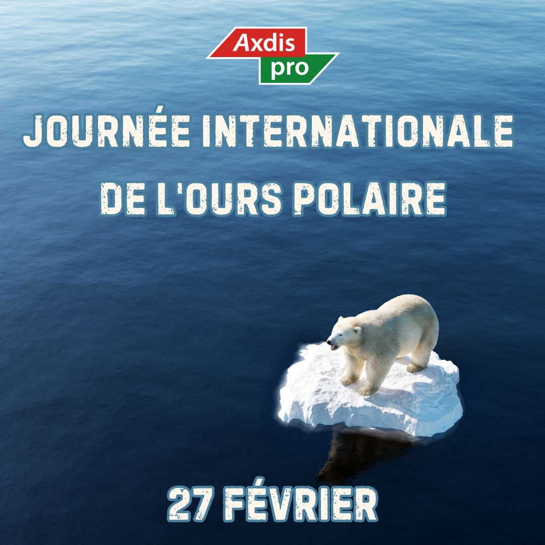 Axdis Pro tweet media