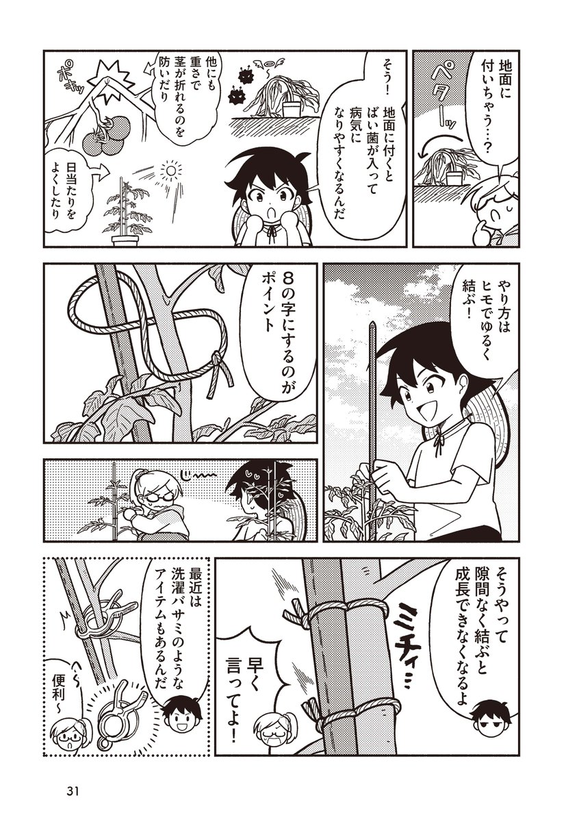 家庭菜園は難しそうなイメージがあるかもしれませんが、ポイントを上手くおさえれば意外と簡単に出来ちゃうよ!という内容です🌱この本は基本を中心に、植えてから60日以内で収穫出来る野菜を絞って漫画にしました。(続く)
