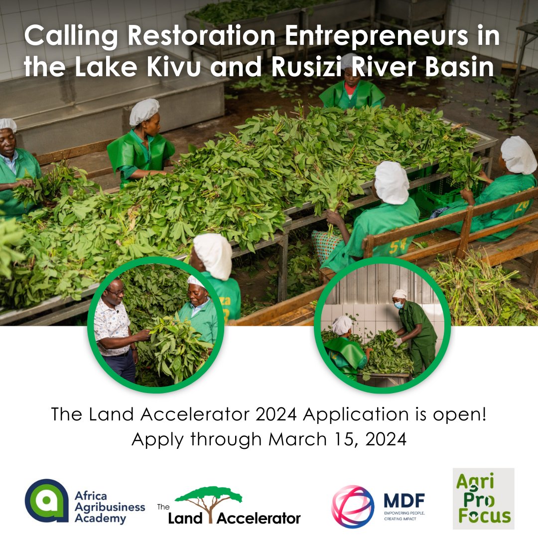 Does your business restore land in the Lake Kivu and Rusizi River Basin, in #Burundi, #DRC or #Rwanda?
The #LandAccelerator Africa could be the right program for you! Apply today and build the best skills and knowledge to grow your company:
Apply Today:👉bit.ly/3w5r5dL