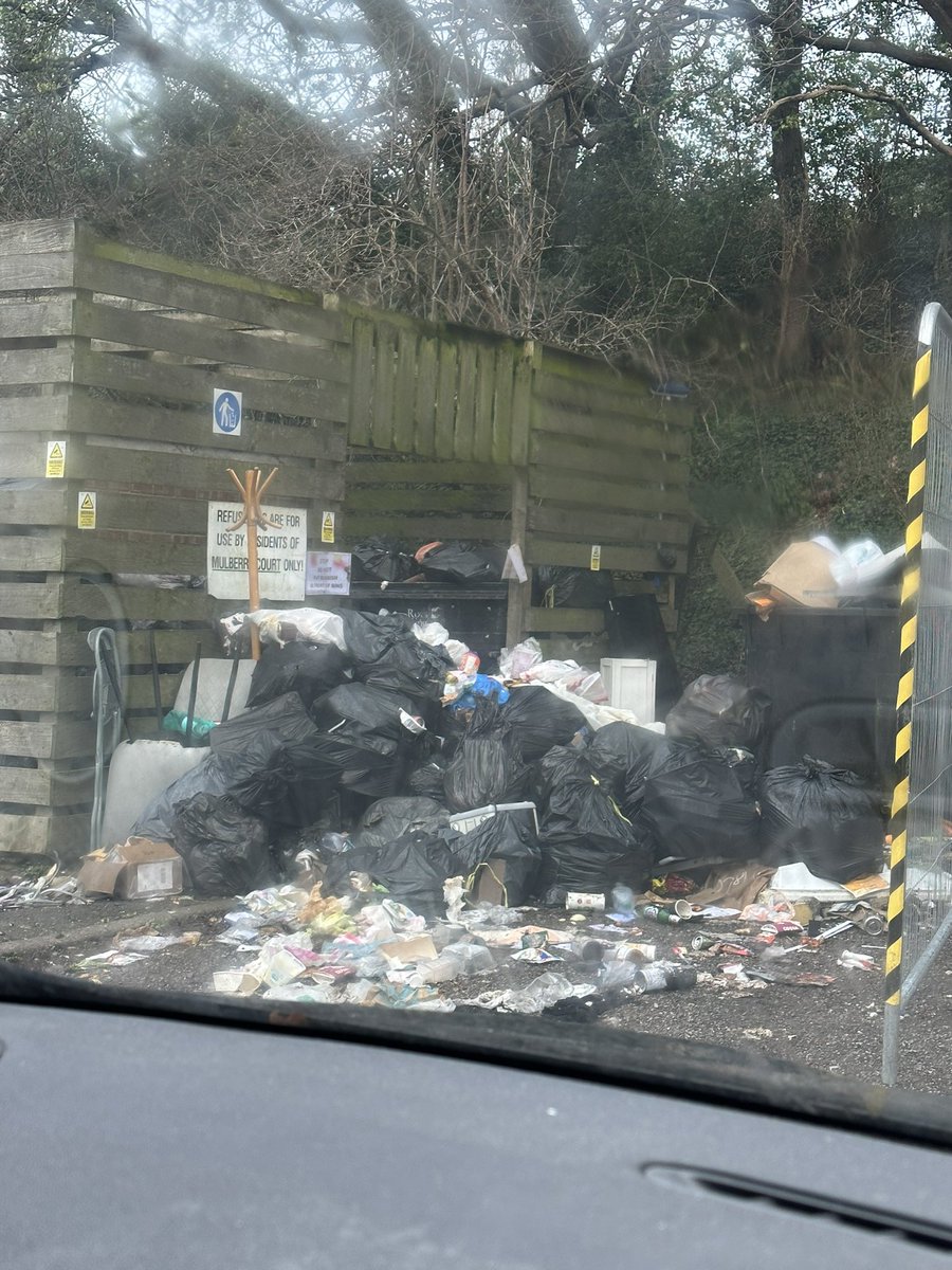 Hello @homegroup can you come and clean your land please? @ContactKingston @Thekingstonecho @RBKingston