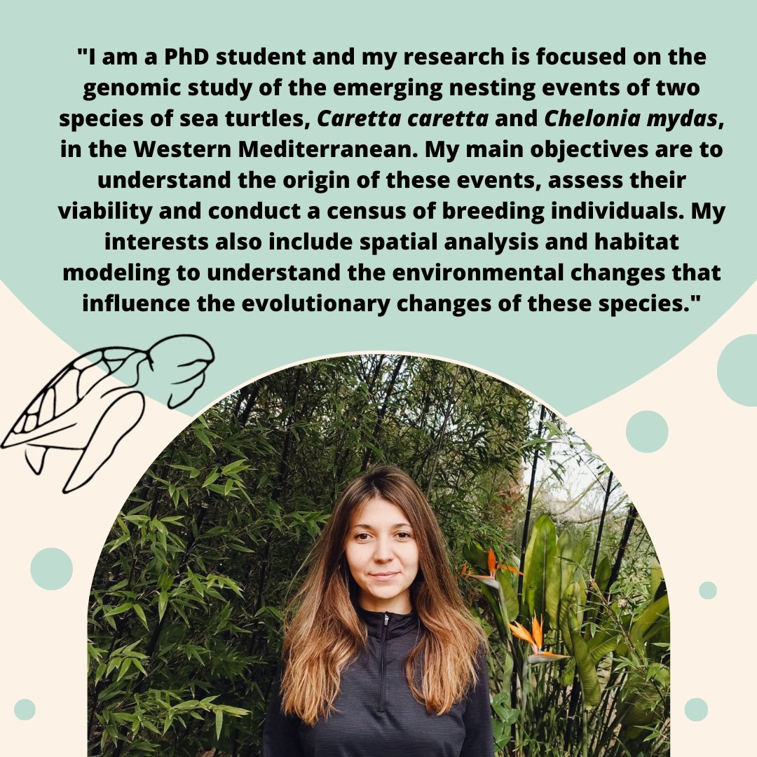 Evolutionary Genetics Lab (@evogeneticslab) on Twitter photo 👩🏽💻Meet the Evogenetics Team!
Today we introduce <a href="/MarinCapuz_G/">Gisela Marin Capuz</a> , a doctoral student who is researching sea turtle nesting in the Western Mediterranean🐢🌍 👩🏽💻Meet the Evogenetics Team!
Today we introduce <a href="/MarinCapuz_G/">Gisela Marin Capuz</a> , a doctoral student who is researching sea turtle nesting in the Western Mediterranean🐢🌍