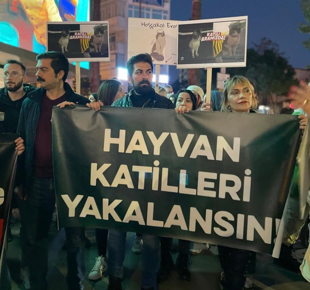 Bugünde unutmadık...‼️
Erossss...🥹🐾🐾
Efe...........🥺🐾🐾

----------------
#ibrahimkeloğlanTUTUKLANSIN 
#ibrahimkeloğlantutuklansın 
#efeiçinadalet 
#ErosİçinAdalet 
#HayvanHaklarıAnayasa 
#HayvanDüşmanlarınaOyYOK 
#HayvanaŞiddetSuçtur 
#SonDakika