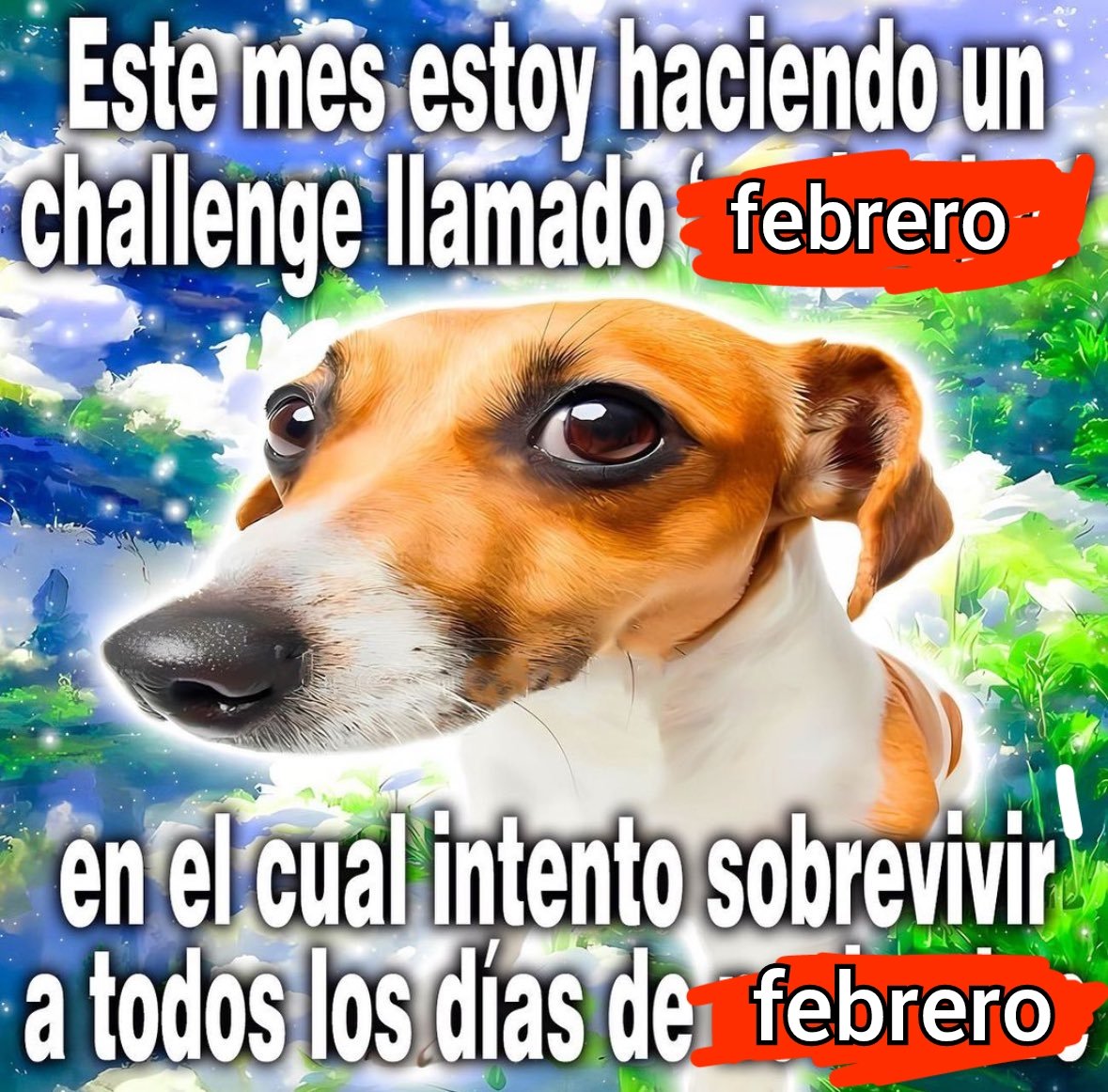 ¿Cómo lleváis el challenge de febrero?