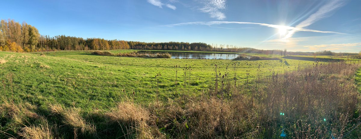 Meedenken over de toekomst van het Bentwoud? Dat kan! Wij willen samen met <a href="/staatsbosbeheer/">Staatsbosbeheer</a> dit jonge bosgebied 🌳nog aantrekkelijker maken voor recreanten. Wij organiseren 3 brainstormsessies. Meer informatie en aanmelden 👉 zuid-holland.nl/bentwoud