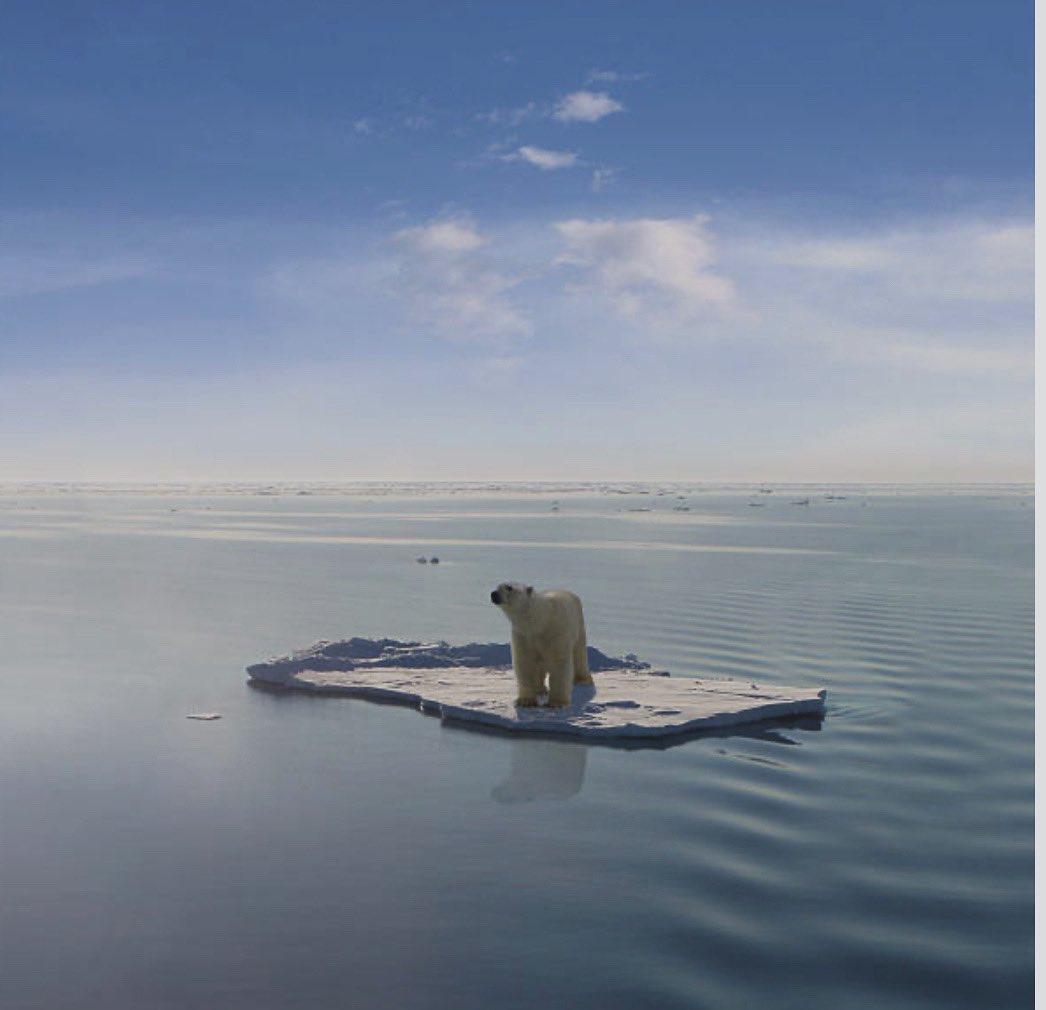 theactivesteam's tweet image. We need to act now! @UnitedLearning @reach2trust @AETAcademies @DeltaTrust_Org @HarrisFed @ArkSchools