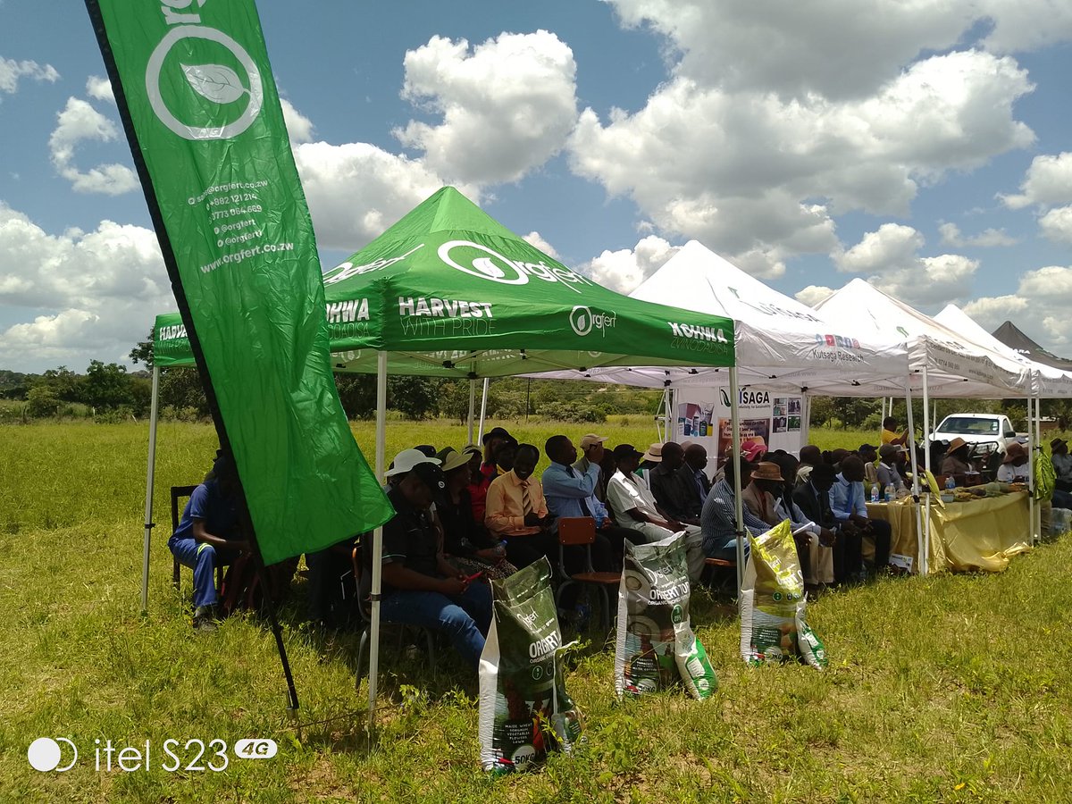 Orgfert1's tweet image. At Gahadzikwa village, Chikwira, Uzumba, together with Trb Kutsaga, showcasing the performance of climate smart tobacco varieties proudly fertilized by Orgfert climate smart fertilizers.
#kohwazvinodadisa #harvestwithpride
0785672500 0785684917