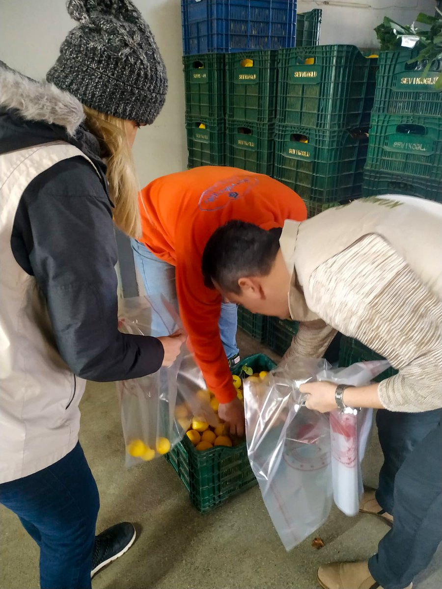 ortacatarim's tweet photo. Ortaca İlçe Tarım ve Orman Müdürlüğü #Gıda Kontrol Birimi olarak, 2024 yılı Bakanlık #Numune Programı kapsamında üretilen #meyve ve sebzelerin tüketim uygunluğunu kontrol etmek için numune aldık. Sağlığınız için, sizin için her zaman en iyisini sağlamak adına çalışıyoruz! 🌱🔬 https://t.co/lS2FY1drnf
