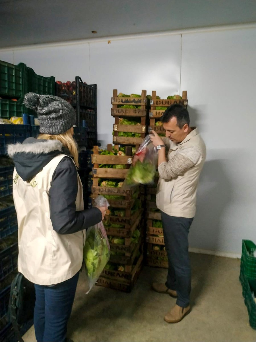 ortacatarim's tweet photo. Ortaca İlçe Tarım ve Orman Müdürlüğü #Gıda Kontrol Birimi olarak, 2024 yılı Bakanlık #Numune Programı kapsamında üretilen #meyve ve sebzelerin tüketim uygunluğunu kontrol etmek için numune aldık. Sağlığınız için, sizin için her zaman en iyisini sağlamak adına çalışıyoruz! 🌱🔬 https://t.co/lS2FY1drnf
