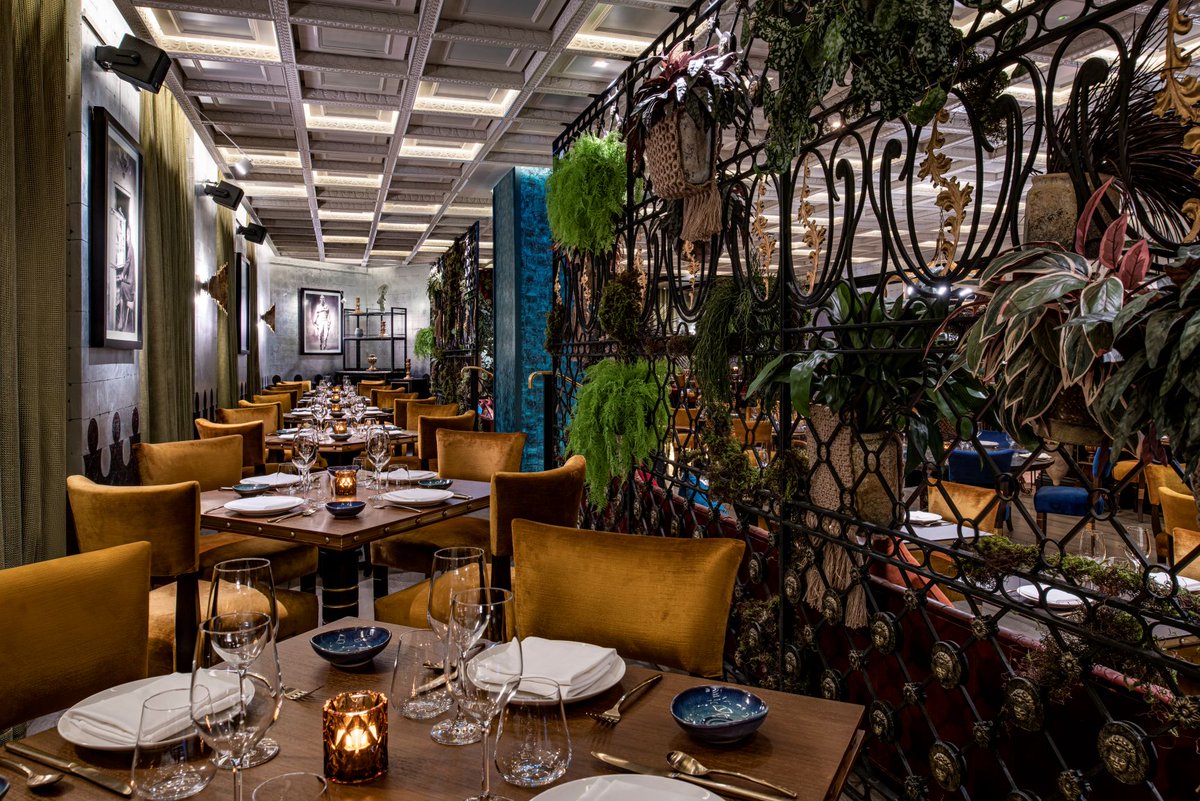 BLXQatar's tweet photo. Become a part of COYA's Third Anniversary Extravaganza! Indulge in Peruvian delights, vibrant beats, and lively celebrations. 
For bookings, please call +974 4453 5416
#COYA #Anniversary #Doha #WDoha @wdoha https://t.co/ZUUpLLjyUQ