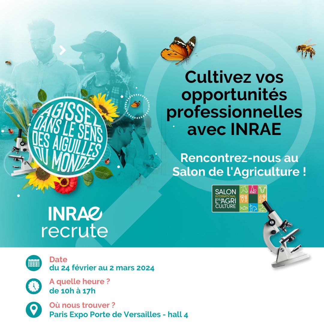 Trouvez un job au SIA ⬇

🌱 Rejoignez-nous au Salon de l'Agriculture, Hall 4, stand 84 !

Rencontrez nos équipes pour discuter des opportunités de carrière, des concours et des modalités de recrutement.

Découvrez nos offres d'emploi et postulez pour trouver votre prochain job