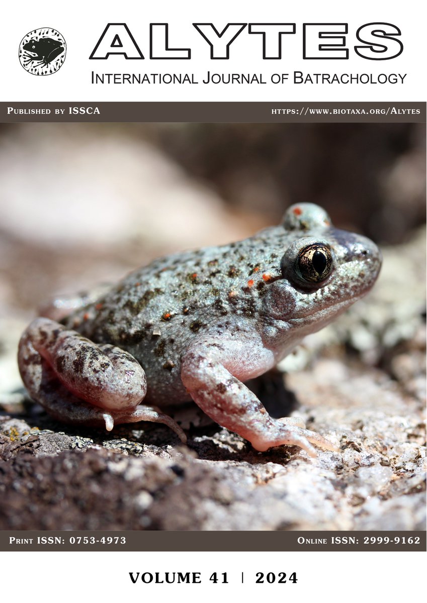 The journal Alytes is back in action and welcoming submissions! 

Check out our new webpages and keep an eye out for the upcoming volume:

biotaxa.org/Alytes/index

Thank you for considering Alytes for your amphibian research! 

Your editors <a href="/DJ_herpetology/">Daniel Jablonski</a> &amp; <a href="/ChrisDufresnes/">Christophe Dufresnes</a>