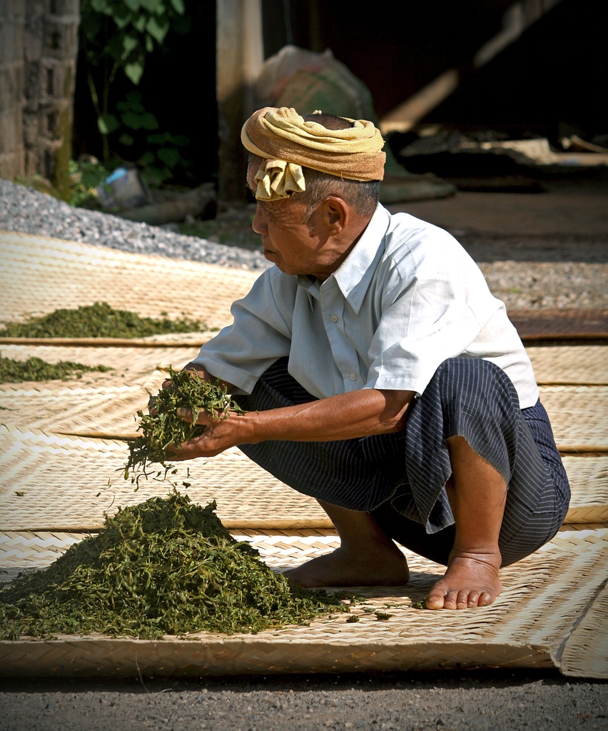 The Lost Tea Company tweet media