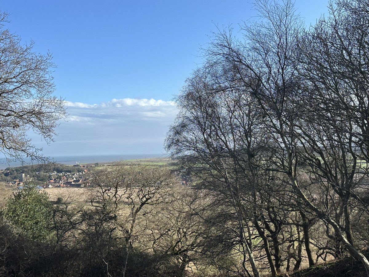 kcwcw's tweet photo. @ChrisPage90 Kelling Heath today :-) https://t.co/Gecgo6e1qg