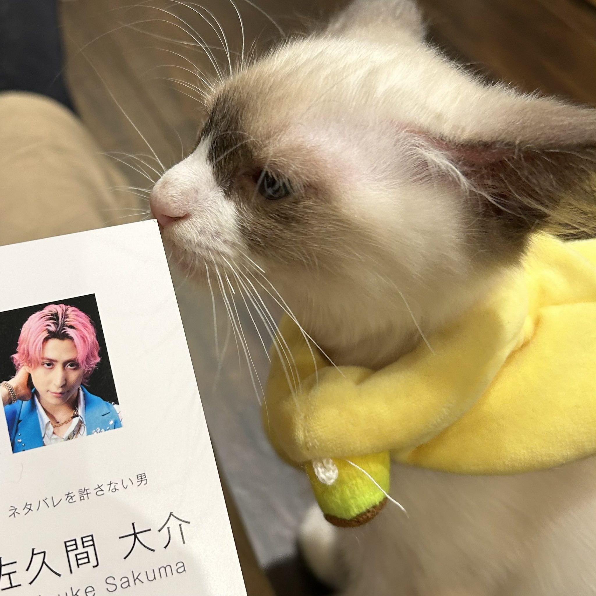 最終値下げ！佐久間大介さん着用　ラバーボーイ猫耳ビーニー 最終値下げ！佐久間大介さん着用 ラバーボーイ猫耳ビーニー