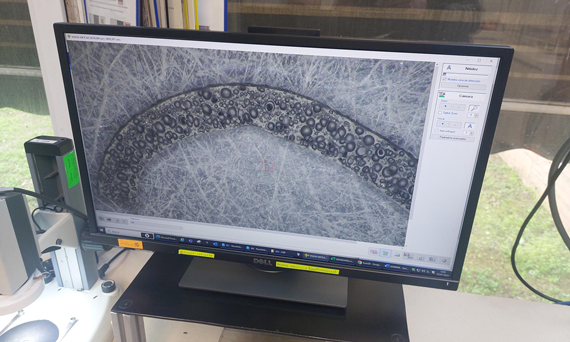 RPM_Plasticos's tweet photo. El proyecto DIGICEL 4.0 desarrollará una herramienta de control de la estructura celular de espumas poliméricas en procesos de fabricación @SostenibilidaCC @CEPplast @cellmattechno @ATS_Spain #standardprofil https://t.co/1pcDSuStMi https://t.co/9lykhUhBEC