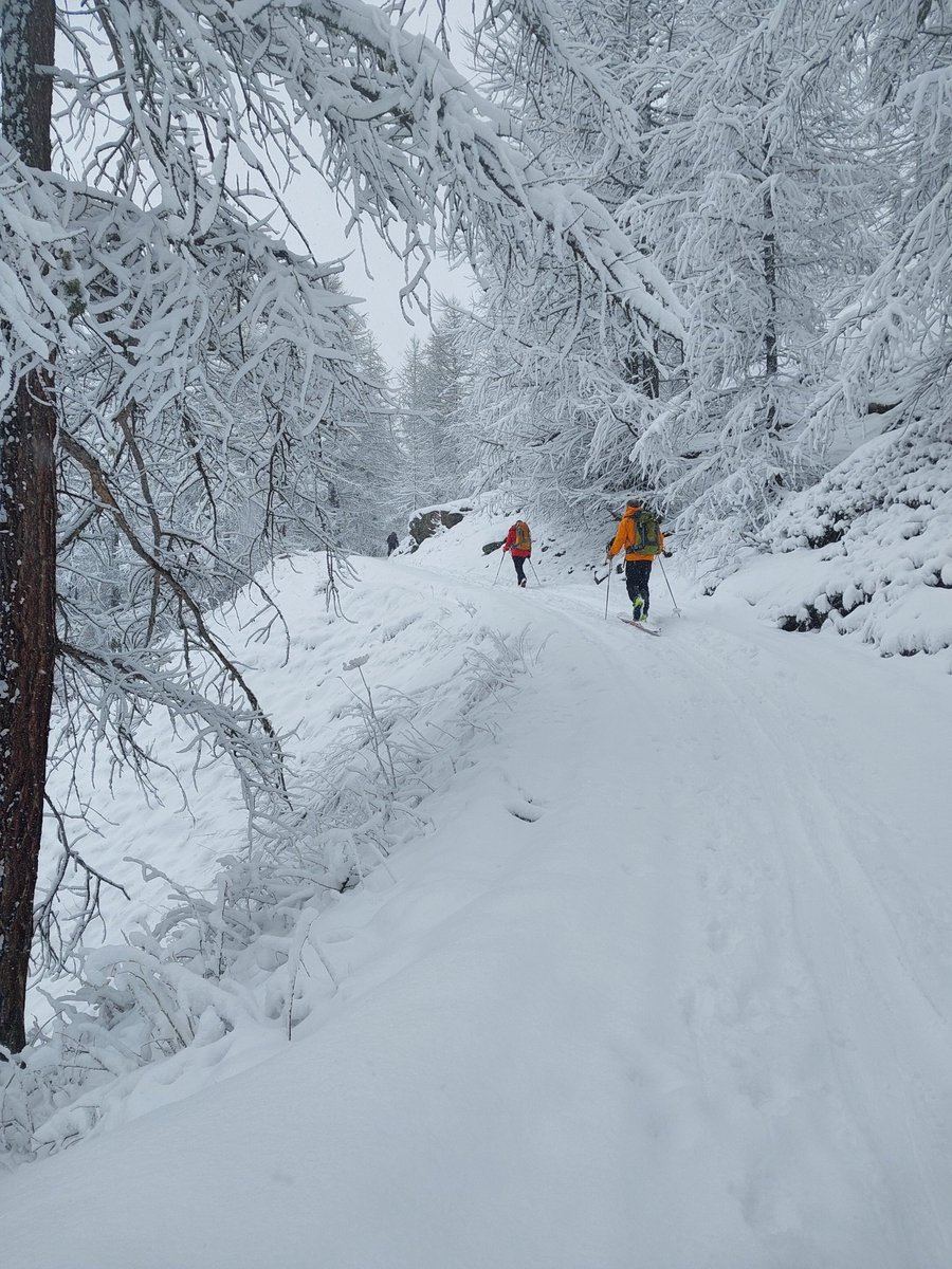 A #Narnia experience on a recent trip to the Refuge de Ricou in Val Claree, France. #skitouring
