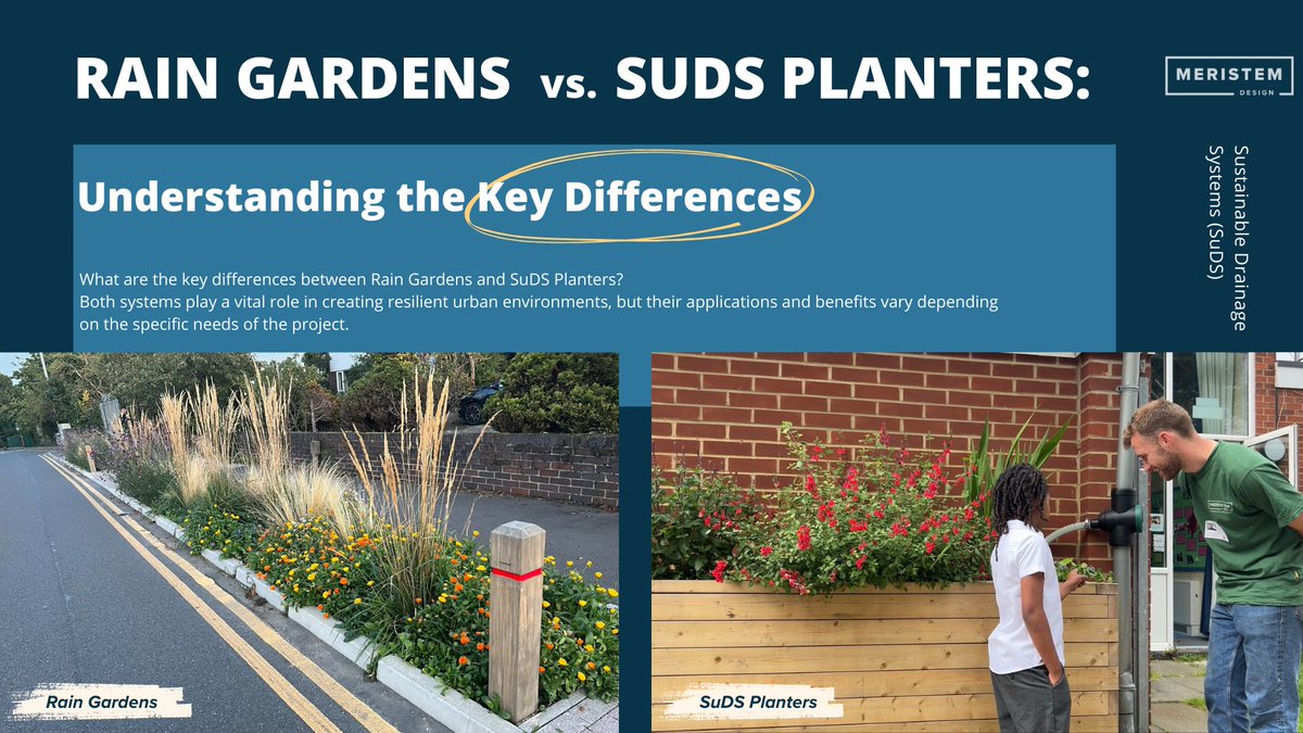 🌧️💡 Curious about #RainGardens vs #SuDS Planters? Both manage urban #rainwater, but have unique purposes and suit different spaces. 🌿🏙️ 🌍♻️ Whether you're a #cityplanner, #architect, or into #sustainable design, understanding these differences is key. Read more:…