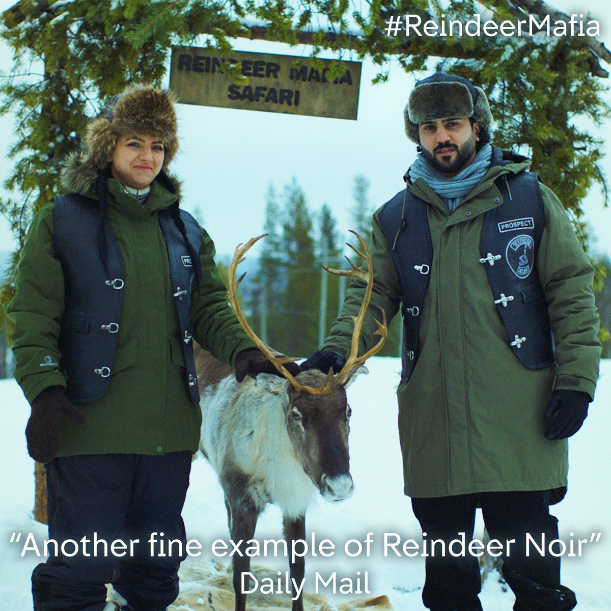 It's all about 'reindeer noir' now 🦌❄️ What do you think of #ReindeerMafia ?👀 #WalterPresents #ReindeerNoir #Channel4