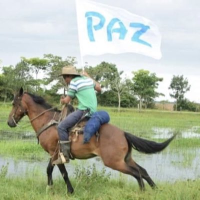 Rosa_CisnerosG's tweet photo. #NuevaFotoDePerfil https://t.co/x4dAHiY7Th