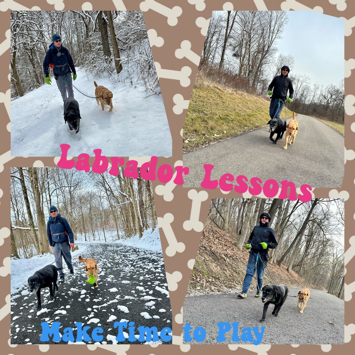 #LabradorLesson from #FitLabPGH (link below): Make time to play. Whether you’re enjoying the end of a long weekend or kicking off a new week, include #playtime in your #movement routine!

#MoveMore #HaveFunWithIt #PlayMore 

tinyurl.com/FLP-LabsPlay