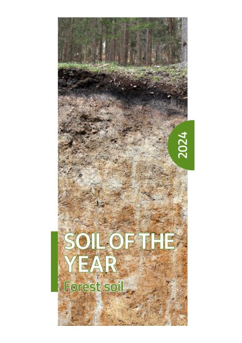 What is the status of #ForestSoils in Germany and how can they be protected? An English-language brochure and poster was created together with the Steering Committee Soil of the Year. It can be downloaded here: boden-des-jahres.de/english/ 
#ForestSoil #ActionSoiloftheYear
