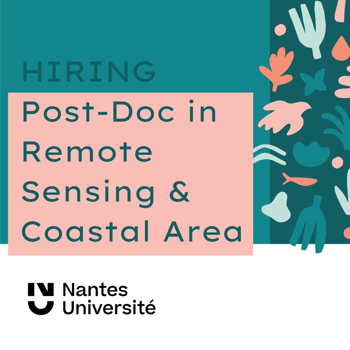 🌊 Exciting Research Opportunity! 

Join Nantes Université for a post-doctoral position in #remotesensing and carbon fluxes within coastal ecosystems. 

Work on REWRITE, mapping CO2 fluxes and advancing Blue Carbon science 💪

Apply by March 20: bit.ly/3I34Wj6